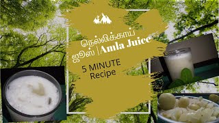 நெல்லிக்காய் ஜூஸ் செய்வது எப்படி | How to Make Amla Juice | Amla juice