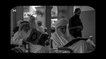 من أحب التلاوات إليّ محمد أيوب