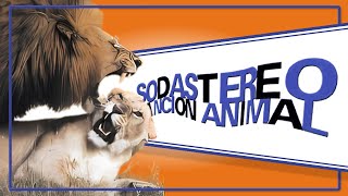 Soda Stereo - Canción Animal (Canal 13 Chile, 1991)