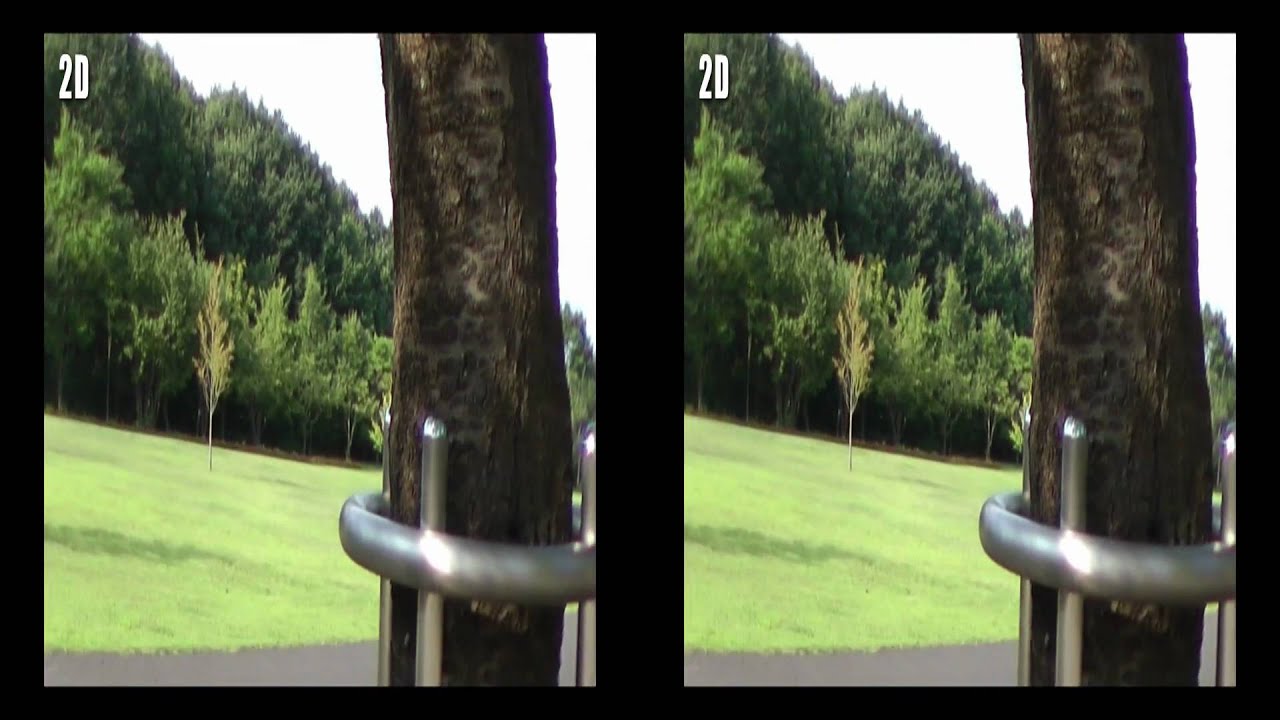 3D Camera Test　　Panasonic TM750 + VW-CLT1