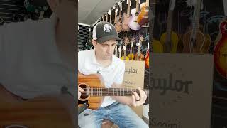 Check Out This Taylor Gs Mini Mahogany