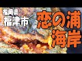 赤沸石､赤メノウと珪化木 がいっぱい‼【福岡県 福津市･恋の浦海岸】秘密のルートで､秘境くぐり岩近くにも行ってみた！
