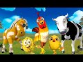 El pollito y el Tractor de la Granja del Toro y del Pollito la granja de la vaca