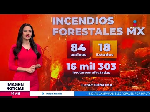 Al momento se