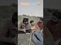 girlfriend kiya hota hai 😂... #funnyvideo #viralvideo #trendingshort #youtubeshorts #fyp #friendship