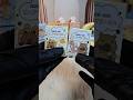Unboxing Blind Box Cute Capybara