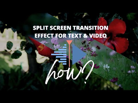 Split Screen Transition in Kdenlive for Text and Videos