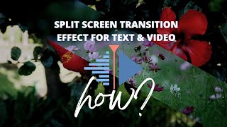 Split Screen Transition in Kdenlive for Text and Videos