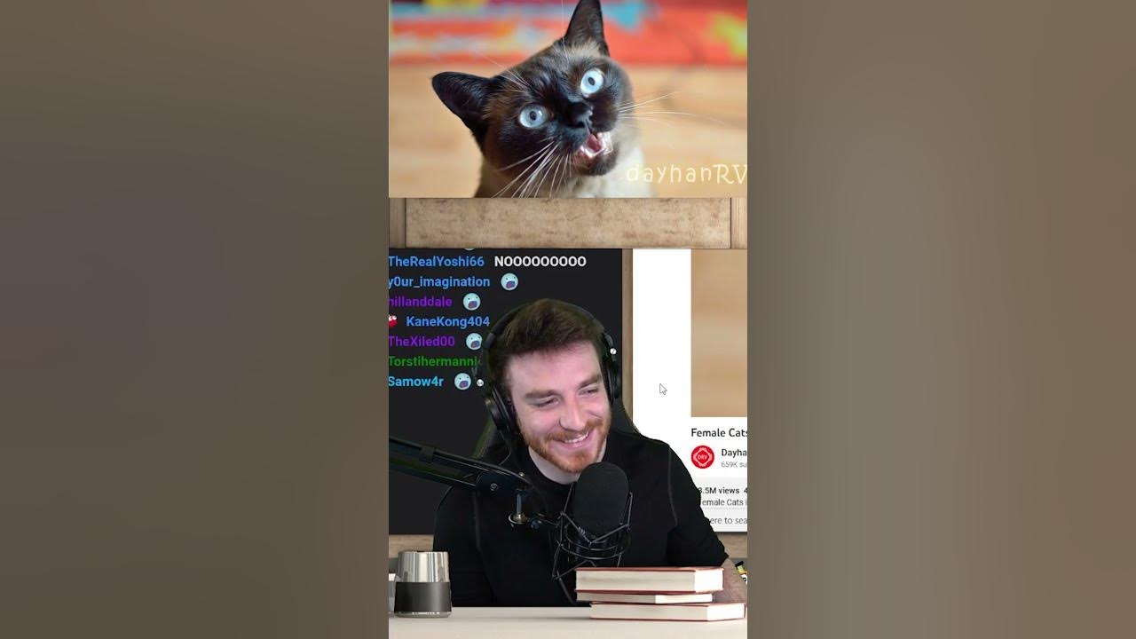 Dougdoug entertains a cat youtube