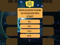 Quiz Time Zoo Animals