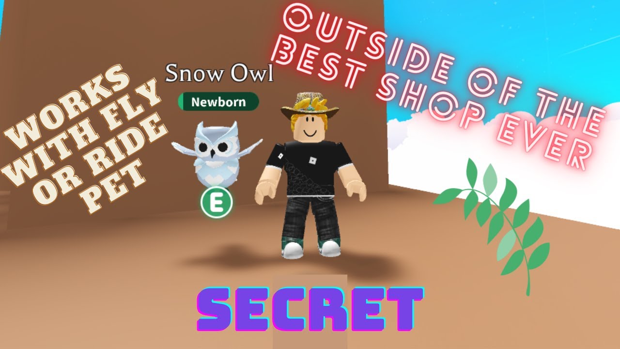 How to get to the OUTSIDE OF THE BEST SHOP EVER!!! YouTube