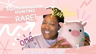 Squishmallow Hunting Super Rare I Got Reshma The Hot Topic Pink Strawberry Cow More Cows