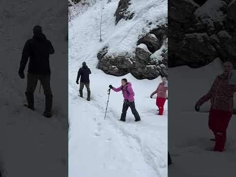Winter Hiking at Hunter Creek, Alaska | Fresh Snow and Counting! #shorts #alaskalife #huntercreek
