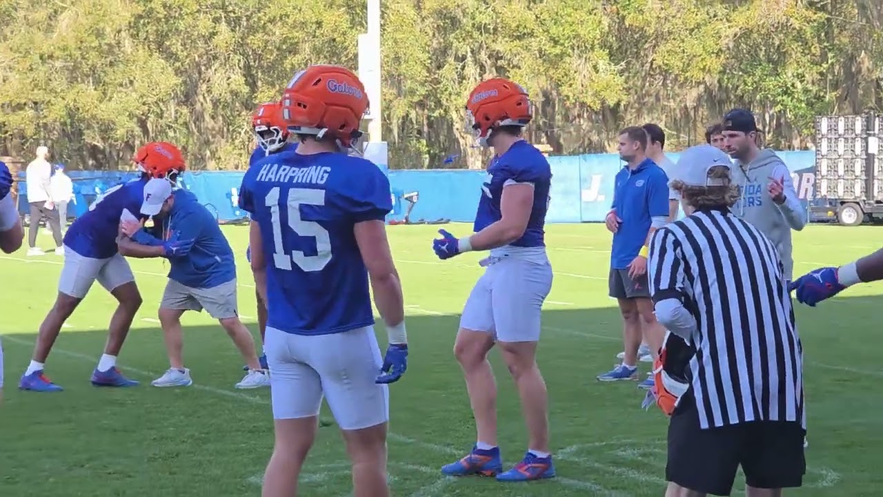 Смотрите: Первый взгляд на футбольную команду Florida Gators 2026 года.