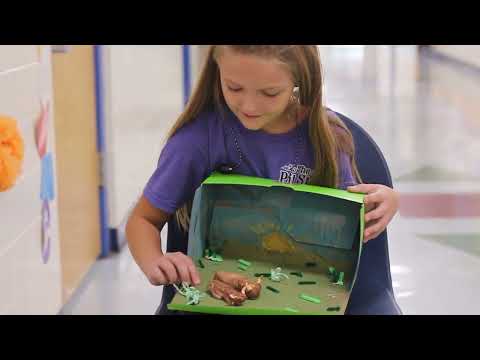 Glasscock Elementary School - Animal Project