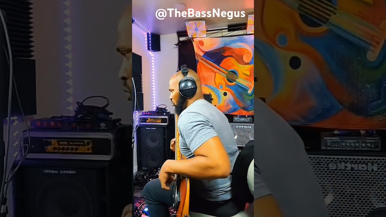 meris #enzox #enzo #bass #bassguitar #basseffects - YouTube