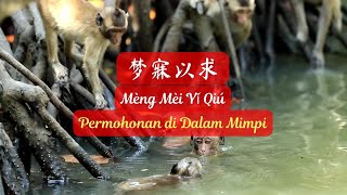 Mèng Mèi Yǐ Qiú《梦寐以求》【Lagu Mandarin】- Li Mao Shan 李茂山 [SubIndo/Pinyin Lyric & terjemahan]