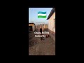 Uzbek oʻgʻlonidan top atvetlar