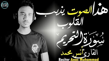 سورة التحريم أنس محمد || تلاوة خاشعة بصوت يذيب القلوب🤍Surah At-Tahrim