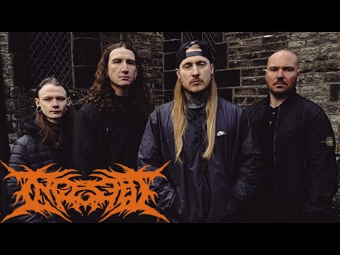 INGESTED - Merciless Reflection (feat. Damonteal Harris of Peeling Flesh)