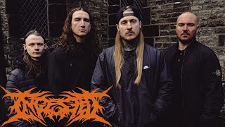 INGESTED - Merciless Reflection (feat. Damonteal Harris of Peeling Flesh)