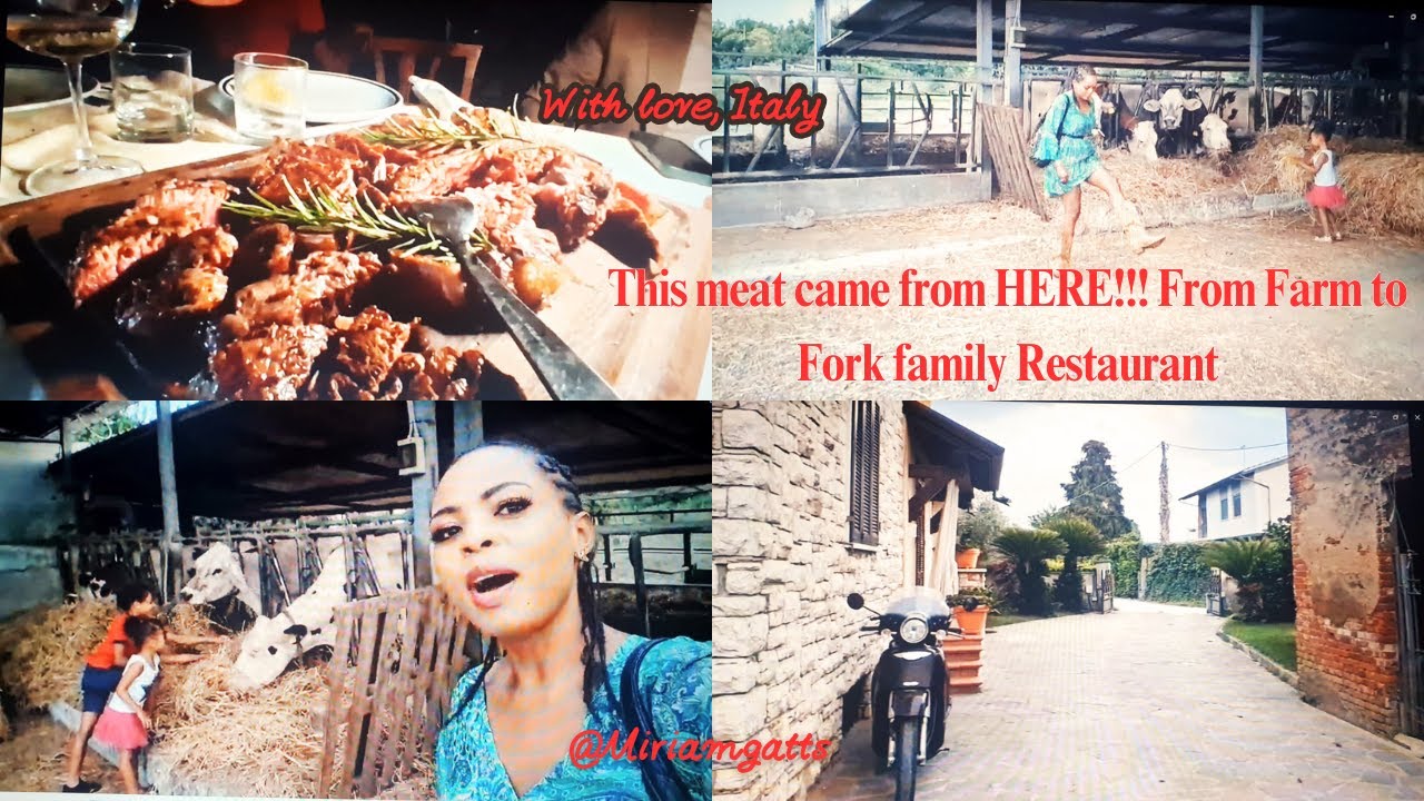 Unforgettable Farm-to-Table Dinner in Tuscany | Authentic Italian Family Restaurant Experience