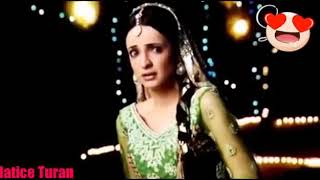 Arnav Ve Kuşinin Şarkısı