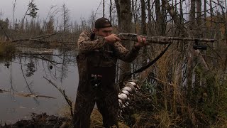 Northern Minnesota Duck Opener wood duck limits Camping out