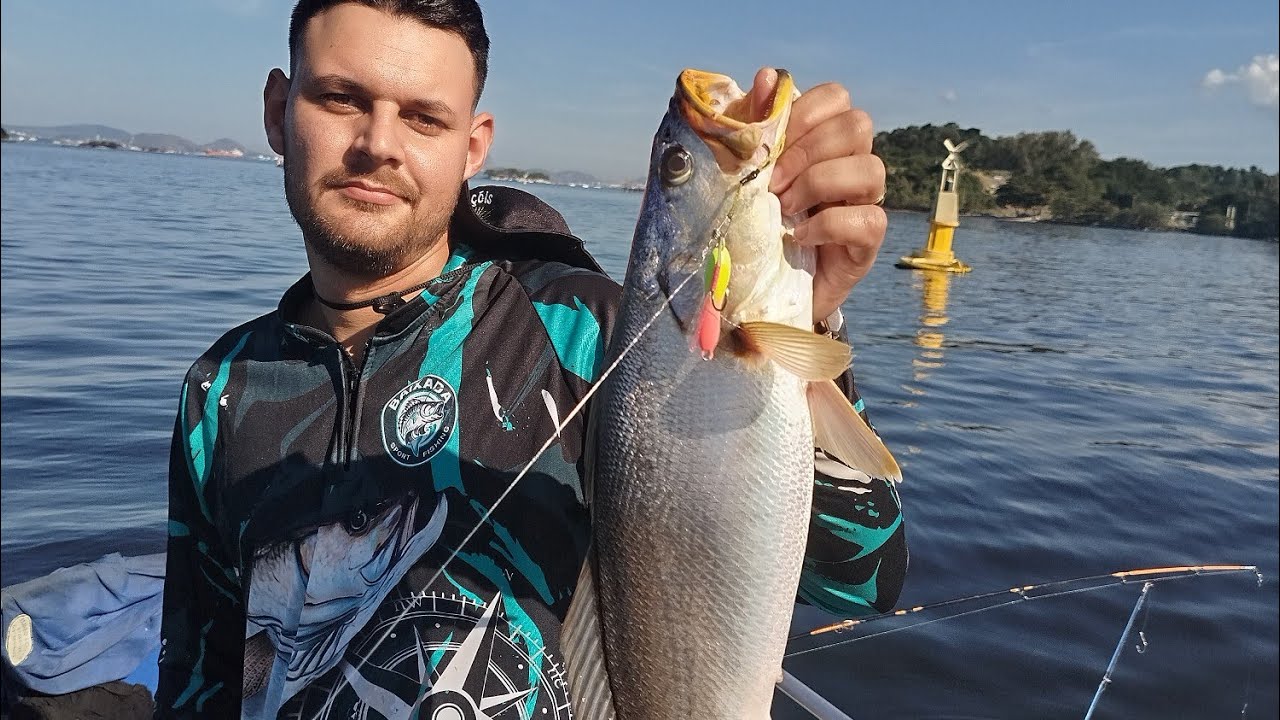 Pescaria baía de Guanabara pescada amarela gigante e corvinas gigante