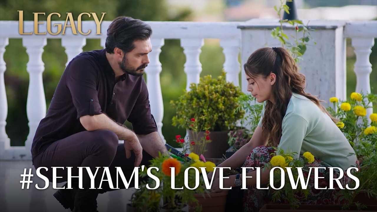 Yaman helps Seher | Legacy