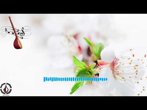 صد برگ سفید Sad Barge Safid 