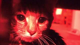 Et Mors - Old Wizard of Odd