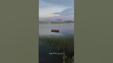 تلاوة بصوت الشيخ عادل ريان ❤️❤️