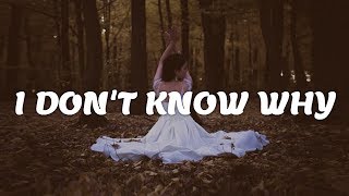 NOTD, Astrid S - I Don't Know Why [Lyrics]