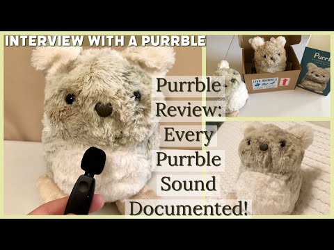 Purrble Interactive Calming Toy Review: Every Purrble Sound