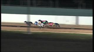 BAL WED 23 DEC 15 R10