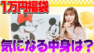 【賛否両論？】即完売したディズニー1万円福袋の中身は実際どうなの？