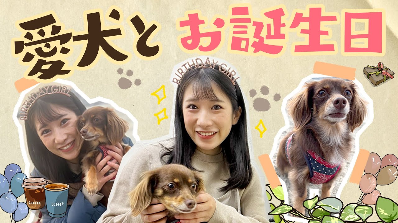 いっちー 誕生日】いっちー誕生日🎂愛犬と一緒にサプライズしてみた🐶【29才