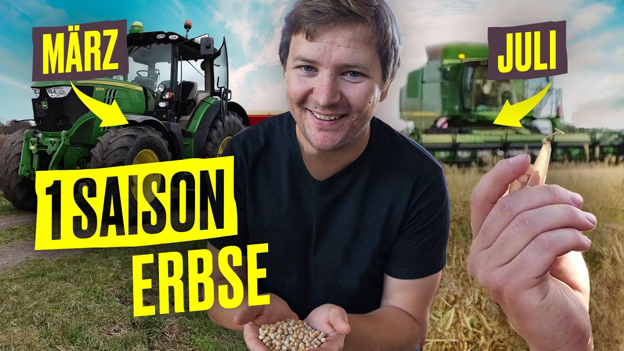 FarmVlog: Von AUSSAAT bis zur ERNTE  Erbsen-Edition I Hundert Hektar Heimat