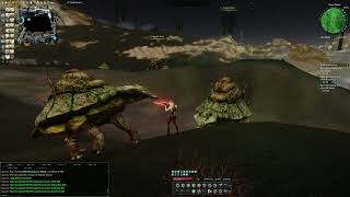 Entropia Universe