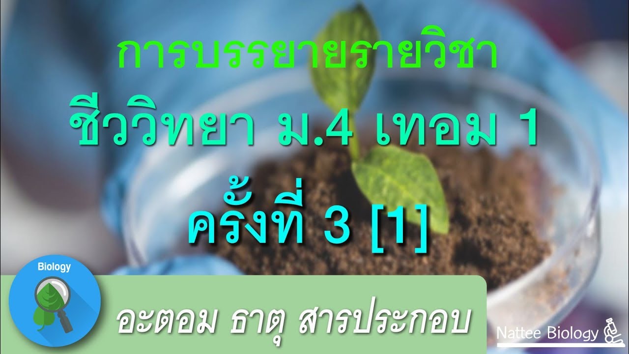 อะตอม โมเลกุล ธาตุ สารประกอบ