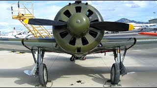 Old RADIAL ENGINES Cold Starting Up and Loud Sound 7