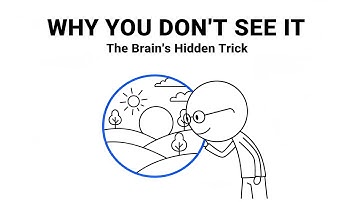 Why You Don’t See Your Blind Spot (The Brain’s Hidden Trick)