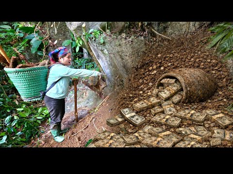 Full video 120 days: From a wild potatohole in the woods, I dug up something thatamazed me.