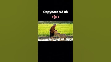 Bà Và Capybara Tập 1 #capybara