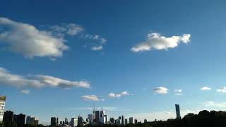 IMG 5517