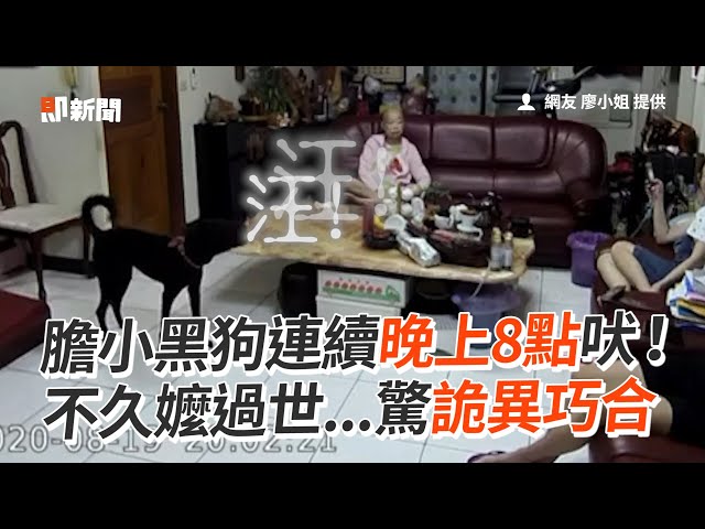 膽小黑狗連續晚上8點吠！不久嬤過世...驚詭異巧合｜寵物動物｜忠犬｜歐告