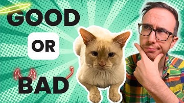 An Easy Way To Spot Bad Advice About Cats