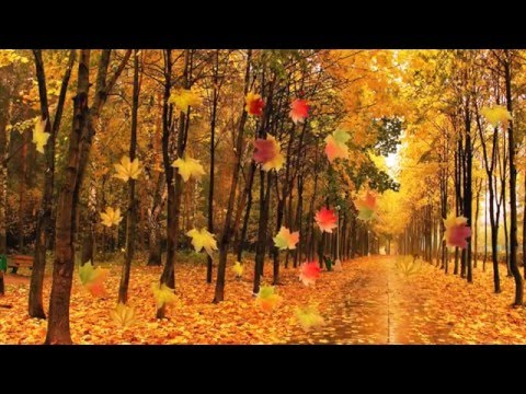 Катерина Голицына, Дмитрий Христов - Дым кальяна