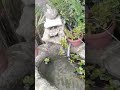 Este sonido vale más que mil palabras… 💧🌿